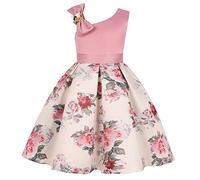 Genérico Vestidos Niña 5 Años - Niños Pequeños Bebés Niñas Primavera Verano Estampado Cosplay Volante Sin Mangas Princesa Vestido Regalos Familiares para Cosplay Decoraciones Disfraz