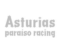 Genérico Vinilo de Corte Pegatina Asturias Paraiso Racing 15x6,7cm (Gris Claro)