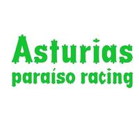 Genérico Vinilo de Corte Pegatina Asturias Paraiso Racing 15x6,7cm (Verde Claro)