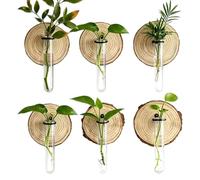 Genérico Wall Propagation Station - 6 Piece Hydroponic Plant Cutting Holder for Indoor Gardening | Glass Test Tube Vase Set with Wooden Frame, Plant Cloning Display for Home Office Balcony Window