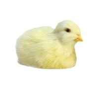 Genérico Wind Up Simulation Chick Plush - Cute Chicken Stuffed Animal - Party Decoration Toy | Adorable Chick Plush Doll for Children’s, Interactive Wind-Up Easter Birthday Toy, Fun -Chicken
