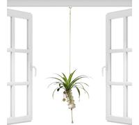 Genérico Window Propagation Station - Glass and Metal Planter with Crystal Suncatcher | Wall Mounted Plant Display for Propagating Cuttings, Ideal for Offices, Bedrooms, Living Rooms, Dorms, Gardens