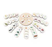 Genérico Wood Puzzle Toys - 320g Lifecycle Tray | Beech Wood Early