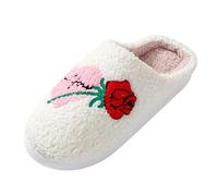 Genérico Zapatillas De Casa Mujer Invierno,Zapatillas De AlgodóN Para El DíA De San ValentíN Pantuflas CáLidas De Felpa Para Parejas En El Para Mujer (Beige 44)
