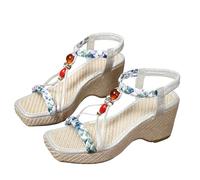 Genérico Zapatos Mujer Tacon Sandalias Confort Pies Anchos Sandalias de Mujer Estilo Étnica Casuales Elásticas Sandalia Plana Sandalia Tacon Bajo (Silver,36)
