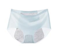 Generisch: 2026 Ropa interior femenina a prueba de fugas para uso diario la menstruación, azul claro, L