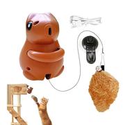 Generisch Accesorios Chaton - Juguetes colgantes originales de animación de animales | Actividades divertidas para el hogar y los gatos, entrenamiento de gility, diseño único para dormitorio pared