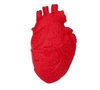 Generisch Alivio del estrés del corazón de silicona para aliviar el estrés escalofriante órgano educación novedad alivio de miedo presión educativa (rojo, talla única)