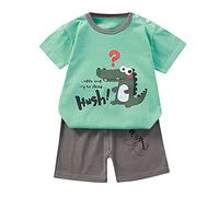 Generisch Baby Boy Girl Outings Manga Corta Impresión de dibujos animados superficie impresa corta 2PCS Ropa Set, G, 3-9 meses