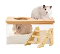 Generisch Bañera de para hámsters - Depósito de Transparente para Jaula de hámster | Mini Inodoro y Zona de baño para Animales pequeños, Incluye Escalera, Ideal para hámsters, jerbos y