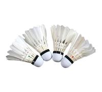 Generisch Bolas de bádminton luminosas | Juego de entrenamiento de 4 piezas | pelotas de ejercicio | Adecuado para parques, playas, campings, , noches, actividades al aire libre, jardines y