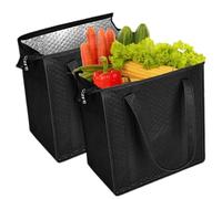 Generisch Bolsa isotérmica aislada Juego de 2 bolsas reutilizables con | 30 x 17,8 x 33 cm bolsa de la compra para bebidas alimentos viajes picnic compras camping