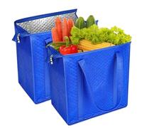Generisch Bolsas isotérmicas aisladas, juego de 2 bolsas isotérmicas reutilizables con parte superior con cremallera, 30 x 18 x 33 cm, bolsas de la compra | Para alimentos, bebidas, picnic, compras