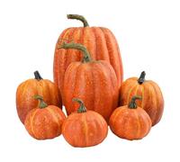 Generisch Calabazas Decorativas 7 Calabazas Espumosas En Diferentes Tamaños