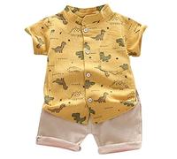 Generisch Camiseta para niños pequeños, dinosaurios, conjuntos de ropa para bebé, ollas + pantalones, trajes y conjunto de niños de dibujos animados 2025, amarillo, 3-4 años