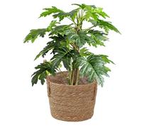 Generisch Cesta trenzada para plantas, maceta de fibra natural con asa, maceta decorativa para interiores, balcón, jardín, terraza, salón, entrada, planta