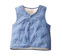 Generisch Chaleco de invierno para niños chaqueta sin mangas acolchada cálida capa interior térmica abrigo grueso para niños pequeños niños al aire libre, azul celeste, 3-4 años