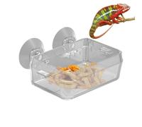 Generisch Chupete para alimentos para reptiles, plato de alimentos antiescape, cuenco de comida antiescapito, diseño antiescape, recipiente de alimentación transparente duradero para gecko, serpiente