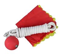 Generisch Cuerda de entrenamiento para dardos, cuerda de 3 m, equipo de entrenamiento flexible, cuerda de artes marciales duraderas, herramienta tradicional china para desarrollar músculo y