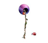 Generisch Cueva de araña de saltar, con cuerda de escalada magnética, escondite de escalada para tarántulas de árboles, para escalada, descanso, cría, gecko, mantis religiosa