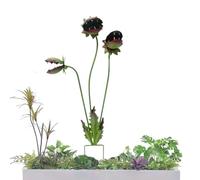 Generisch Decorative Lawn Stake, Metal Yard Ornament, Plant Shape Garden Art, Outdoor Sculpture Decor Sturdy Weather Resistant for Yard Lawn Pathway Patio Flower Bed Spring Summer Use Kit System