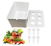 Generisch Di Coltivazione Domestico, Cassetta Di Coltivazione Con 6 Fori Per Piante | Contenitore Per Ortaggi Fiori Frutti Da Interno Esterno Serra Balcone Cortile Davanzale Giardino Coltivaz