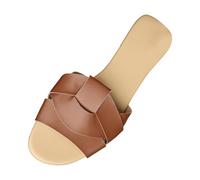 Generisch Felpa zapatillas de mujer Europa y Estados Unidos Comercio Exterior de gran tamaño zapatos de las mujeres planas zapatillas de uso diario modelos planos con goma, marrón, 39 EU