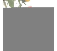 Generisch Giocattoli A Carica Pulcini 8 cm - Set Personaggi Cartoni Animati A Molla Che Camminano, Idea Regalo Per Bambini Pasqua Compleanno Fijo silo Casa Viaggio