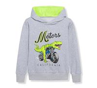Generisch Jersey Jack 152 Niños Niños Cuello Redondo Sudadera con Capucha Manga Larga Jersey Dinosaurio Suéter Top Traje Niños 5 a 12 Años Niños Sudaderas con Capucha, gris, 7-8 años