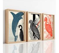 Generisch Juego de 3 cuadros en lienzo con impresión vintage, diseño de pájaro, pingüino, delfín, historia natural, animales, seguros e inodoros, decoración de inodoro de invitados, sin marco (21 x
