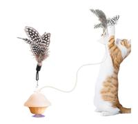 Generisch Juguete interactivo para gatos de interior | Compañero resistente a la masticación para jugar, juguete interactivo para gatos, para gatos pequeños, medianos y grandes, apartamentos, estudios