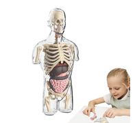 Generisch Kit de ensamblador de modelos de anatomía para niños, proyectos educativos de disección escolar | Diverso. Set ideal para aprender STEM, enseñanza de ayudas y medias