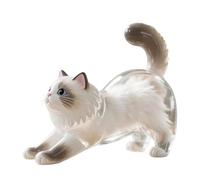 Generisch Llavero de animales de peluche, botellas, recuerdo para mascotas, llavero transparente para biología, b, Talla única