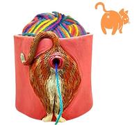 Generisch Malloy Cat Yarn Bowl, Funny Cat Butt Yarn Bowls for Crocheting Knitting, Yarn Bowls with Holes for DIY Knitting with 5-9 Knitting Needles (Orange)