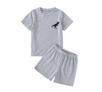 Generisch Niños Pequeños Niños Manga Corta Dibujos Animados Dinosaurios Estampados Camiseta Tops Pantalones Cortos Niños Trajes Niños Dos Piezas Niños, gris, 9-10 años