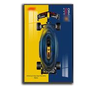 Generisch Pantalla de pared para Lego Technic Oracle Red Bull Racing RB20, montaje de pared para modelo 42206, ahorro de espacio, fácil montaje, decoración creativa del hogar