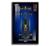 Generisch Pantalla de pared para Lego Technic Oracle Red Bull Racing RB20, montaje de pared para modelo 42206, ahorro de espacio, fácil montaje, decoración creativa del hogar