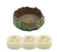 Generisch para cucarachas, bebederos y comederos para reptiles con un terrario Loofah, para alimentar a arañas, geckos, cochinillas, cucarachas y colémbolos en terrarios, recintos