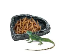 Generisch para reptiles | Contenedor de comida para reptiles, contenedor de comida para arañas, soporte, criadores, terrarios, recintos, jaulas, refugios, tiendas especializadas, hogar y