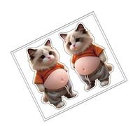 Generisch Pegatinas lindas | Divertidas pegatinas de vientre de gato | Pequeñas pegatinas de burbujas para álbumes de recortes, para cuadernos, planificadores, fundas de teléfono móvil, tabletas