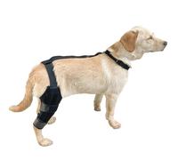 Generisch Perro vendaje de apoyo para patas traseras - Manguito de apoyo para marcha atrás | Rodillera antideslizante con correa ajustable para rehabilitación de lesiones y apoyo de movilidad