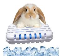 Generisch Rabbit Hamster Cooling Ice Box Wall Mount - Hanging Pet Cooling Plate & Pad for Small Animals, Golden Bear Design Heat Stress Relief, Cage Accessory for Ferrets Chinchillas Guinea Pigs