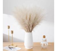 Generisch Reed Bouquet & Reed Grass Decor - Jarrones de cerámica para hierba de las Pampas, jarrón decorativo elegante para sala de estar, dormitorio o exhibición de decoración del hogar