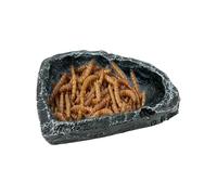 Generisch Reptile Water Dish - Solución de almacenamiento de agua y comida crucial | Lizard Watering Dish Bearded Dragon Feeder | para mascotas Parents, Keepers, Terrariums, Enclosures, Shelters