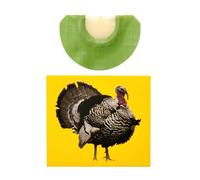 Generisch Silbato con efecto de sonido de pájaro, silbato loco, sonidos de animales, silbato de pájaro en colores brillantes, puede imitar la llamada de un pavo para fiestas de cumpleaños en el Día de