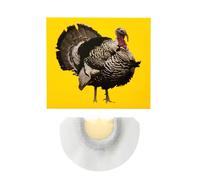 Generisch Silbato con efecto de sonido de pájaro, silbato loco, sonidos de animales, silbato de pájaro en colores brillantes, puede imitar la llamada de un pavo para fiestas de cumpleaños en el Día de