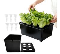Generisch Sistema de cultivo hidropónico - Kit de sistema de cultivo | Kit de germinación sin tierra | Para verduras, frutas, interior y exterior, jardín, invernadero, granja, patio trasero, alféizar