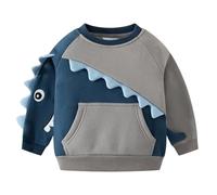 Generisch Sudadera con capucha de forro polar para chicos con estampado de dinosaurios, sudadera suave para manga larga, parte superior informal para niños pequeños, ropa de invierno ideal para el