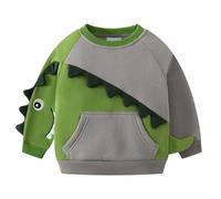 Generisch Sudadera con capucha de forro polar para niños con estampado de dinosaurios, sudadera suave para manga larga, parte superior informal para niños pequeños, ropa exterior de invierno ideal