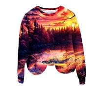 Generisch Sudadera para mujer sin capucha - Sudaderas con capucha con estampado 3D, cuello redondo, camiseta de manga larga, algodón, parte superior, holgada, informal, cómoda blusa de lino, túnicas